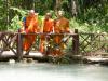 traveller monks