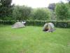 P5310227 : camping de l'Isle sur le Doubs